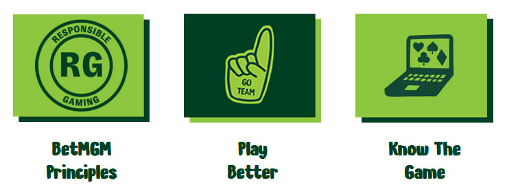 responsible gaming green icons